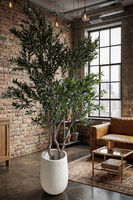 Drzewko Oliwne Hevra, sztuczna roślina w donicy