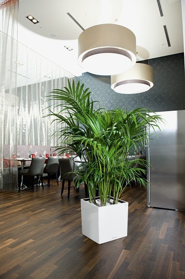 Cube Premium, doniczka z nawadnianiem, biały