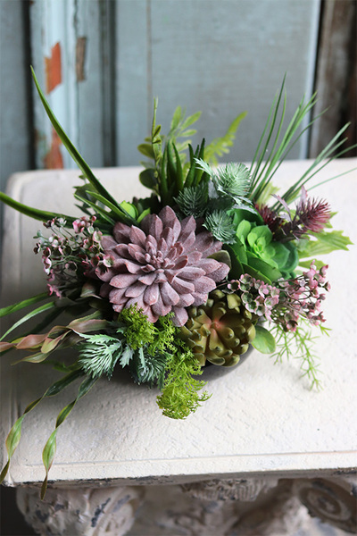 Anna Maria Black 2, kompozycja sukulenty w okrągłej donicy, wym.33x30cm