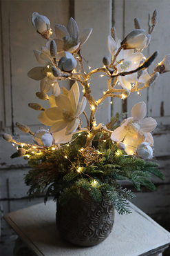 Mroźna Magnolia, świąteczna kompozycja z drzewkiem magnolii, wys.67cm