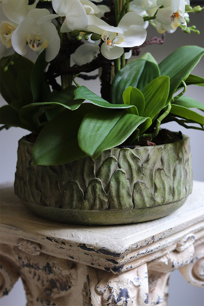 Green Bedia, sztuczny storczyk w zielonej osłonce