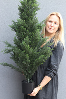 Tuja, drzewko sztuczna roślina w doniczce