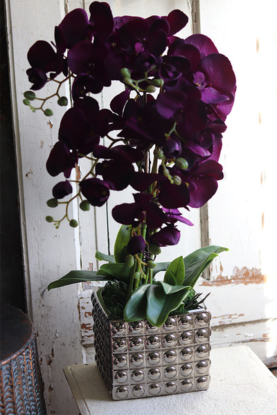 Purple Silveria, fioletowy storczyk w srebrnej donicy, wys.62cm 