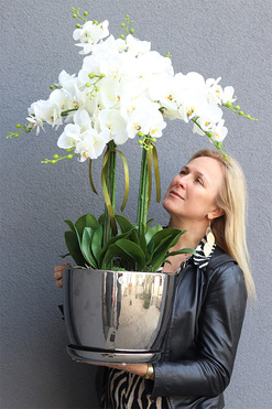 Vaselite Silver Lucky, gumowy storczyk w lustrzanej donicy, wys.90cm