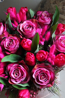 Magenta, wiosenny flowerbox z tulipanami