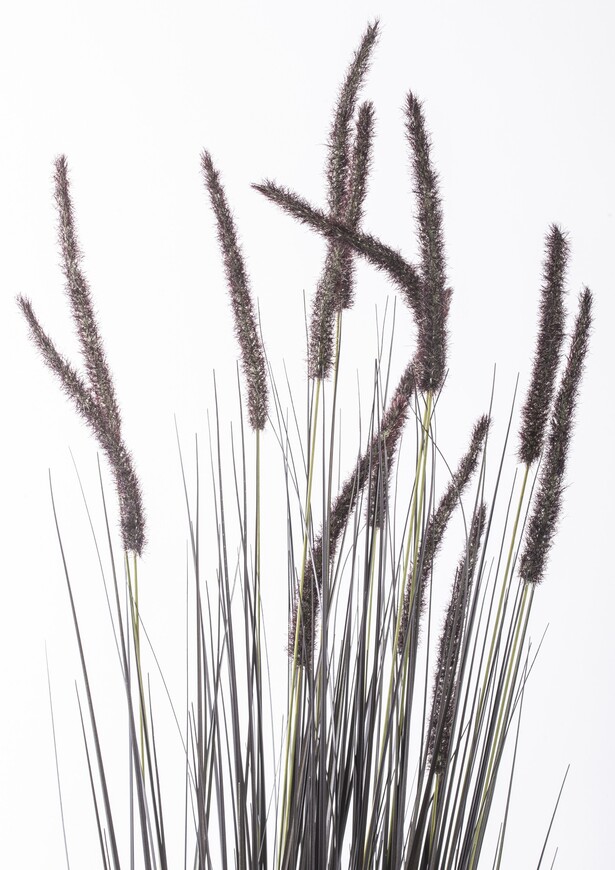 Negra, czarna sztuczna trawa z kłosami, wys.153cm