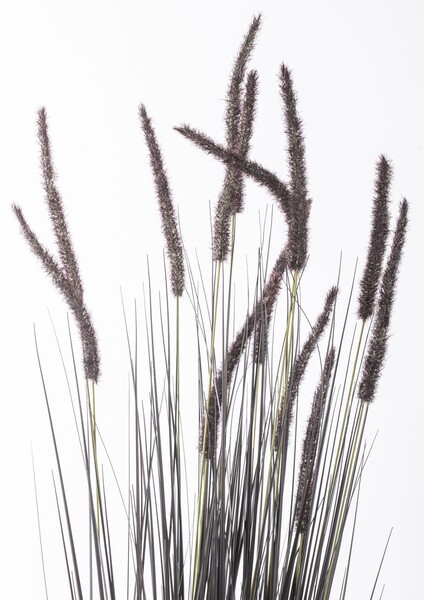 Negra, czarna sztuczna trawa z kłosami, wys.153cm