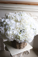 New Provance 2, bogaty kosz hortensji