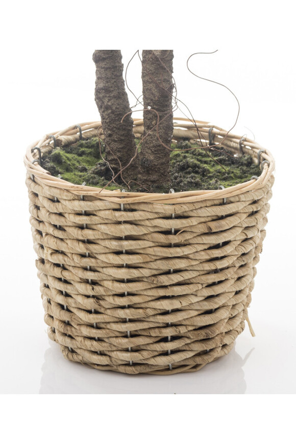 Figowiec, sztuczne drzewko w osłonce / donicy, wym.120x45x45cm