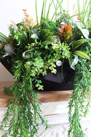 Green Terrance Laos, kompozycja sukulenty w czarnej donicy