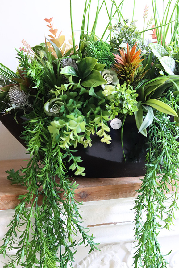 Green Terrance Laos, kompozycja sukulenty w czarnej donicy