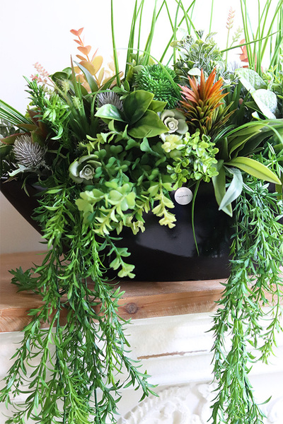 Green Terrance Laos, kompozycja sukulenty w czarnej donicy