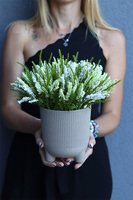 Wrzosowiska nr 1, jesienna kompozycja z wrzosów, wys.26cm