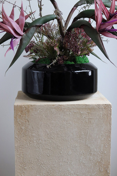 Strelicja Violet, egzotyczna kompozycja w donicy