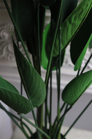 Strelicja Zielona, wysokiej jakości sztuczna roślina