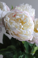 Real Peony, bukiet realistycznych peonii