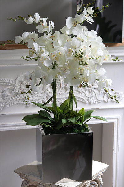 storczyk w stalowej donicy, Mirror Silver Cube