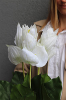 Medinilla Biel, dekoracyjny bukiet w wazoni