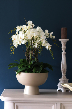 Beige Simplicita, storczyk w metalowym pucharze, wys.77cm