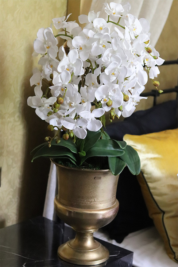 Beige SImplicita, storczyk w metalowym pucharze, wys.77cm