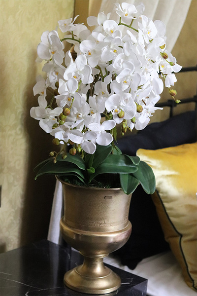 Beige SImplicita, storczyk w metalowym pucharze, wys.77cm