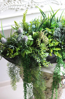 Black Laos Sukulenty, zielona kompozycja w czarnej donicy