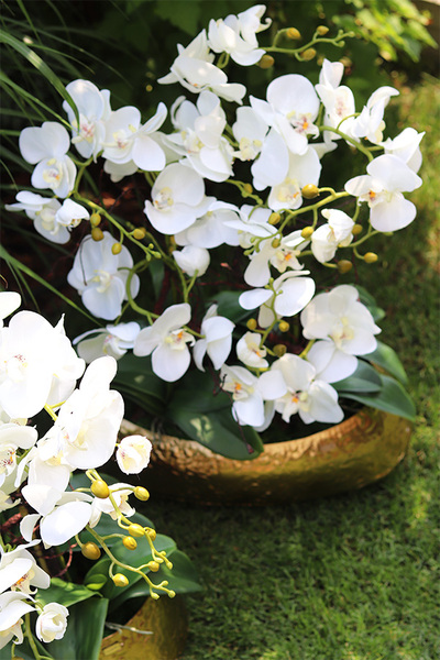 Deluxe Belldani A, sztuczny storczyk w złotej donicy, wys.65cm