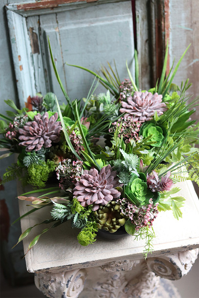 Anna Maria Black 2, kompozycja sukulenty w okrągłej donicy, wym.33x30cm