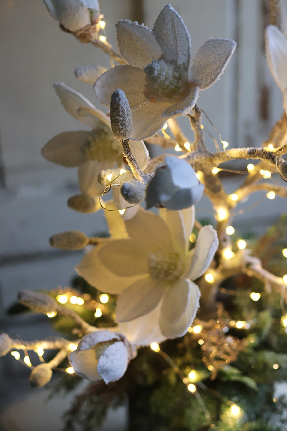 Mroźna Magnolia, świąteczna kompozycja z drzewkiem magnolii, wys.67cm 