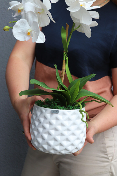 Il Classico, śnieżnobiały sztuczny storczyk