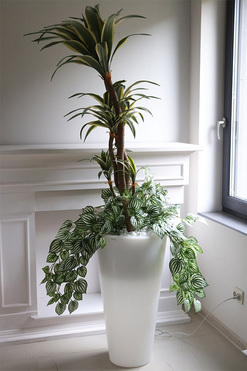 OD RĘKI Avangardi, sztuczna jukka w donicy podświetlanej LED, wys.185cm