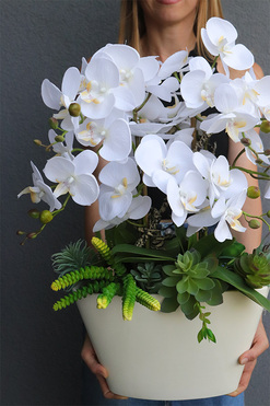 Bielise, sztuczny storczyk w wąskiej donicy, wys.75cm