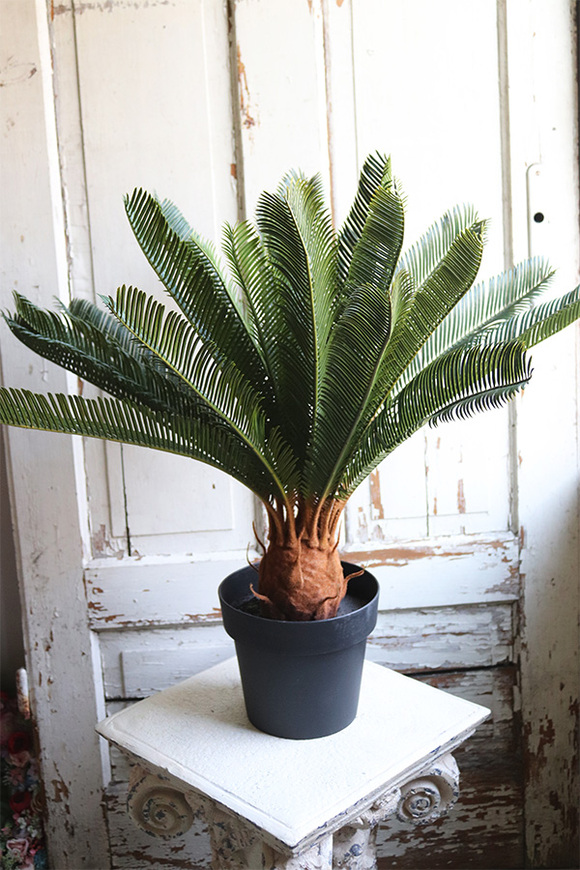 Cykas, sztuczna roślina w osłonce z tworzywa sztucznego, wys.100cm 