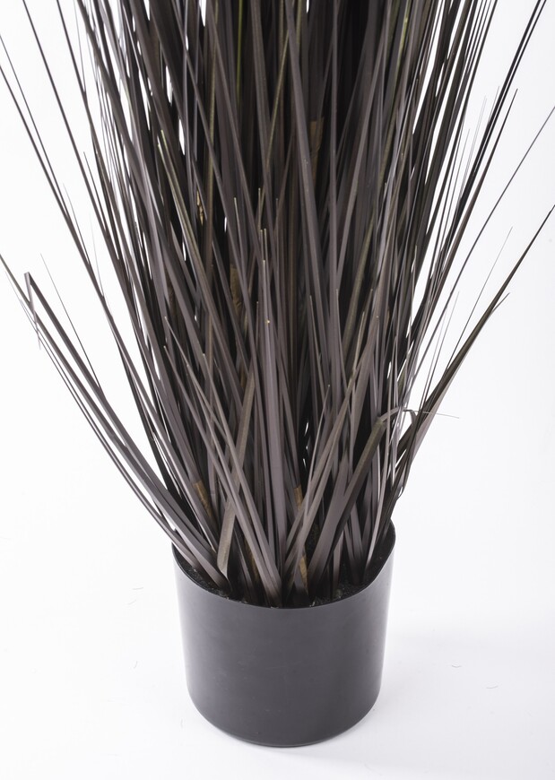 Negra, czarna sztuczna trawa z kłosami, wys.153cm