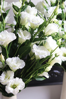 Eustoma Hilton, bukiet do wazonu z białych kwiatów