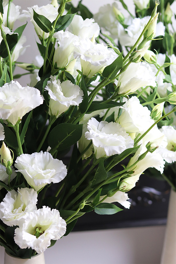 Eustoma Hilton, bukiet do wazonu z białych kwiatów