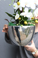 sztuczny storczyk Cinderella Silverraw srebrnej donicy