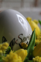 Żółta Wielkanoc, wielkanocny stroik na talerzu