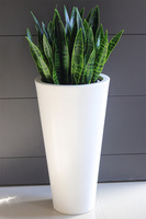 Sansewieria Della, roślina sztuczna w donicy