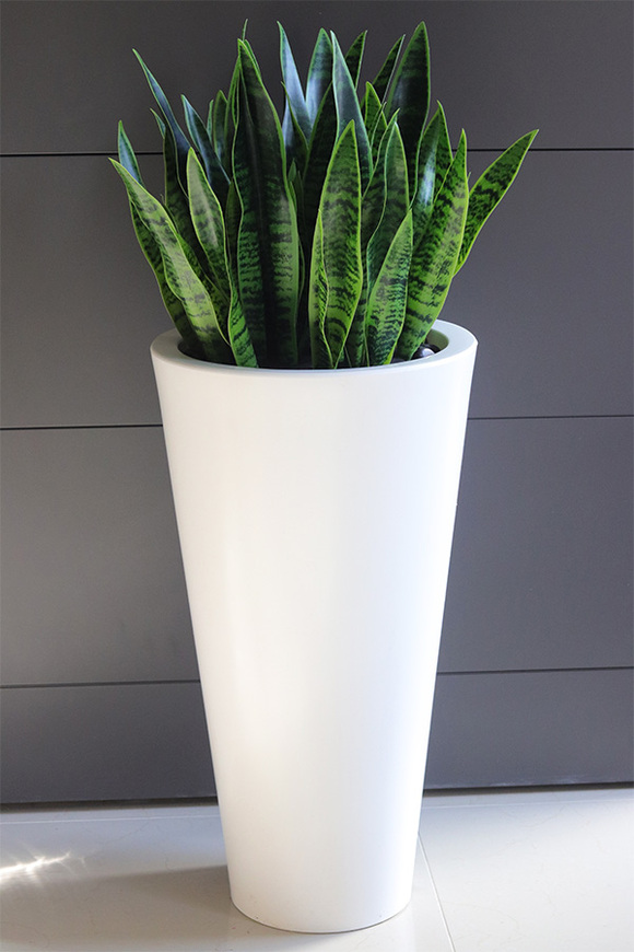 Sansewieria Della, roślina sztuczna w donicy