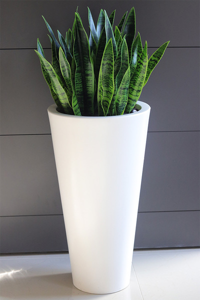 Sansewieria Della, roślina sztuczna w donicy