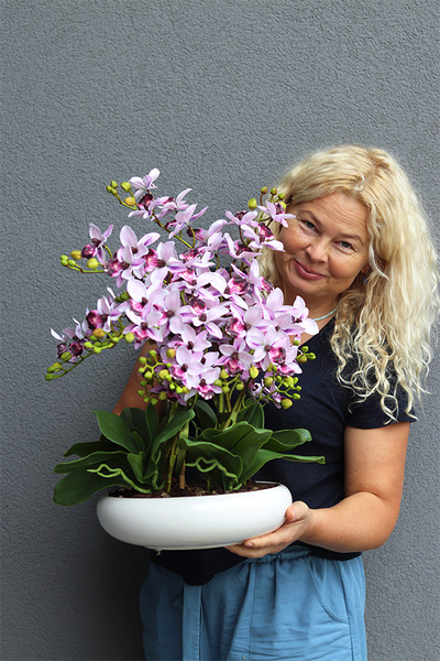 Różowa Chmurka, sztuczny o różowych kwiatostanach, wys.54cm