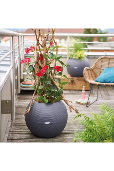 Puro, elegancka donica z nawadnianiem