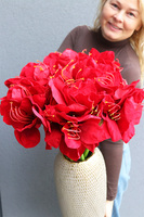 Red Bonfire, złoty wazon z amarylisami