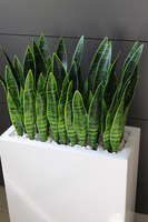 Sansewieria Fiberglass Marco 3, roślina sztuczna w donicy