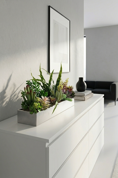 Suculenti Steel Modern 3, sukulenty w stalowej donicy