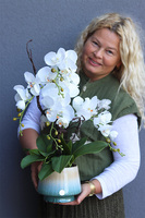 Gretiena, sztuczny storczyk w doniczce ombre