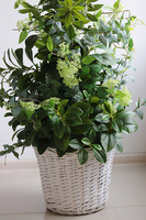 New Green Provance, drzewko sztuczne kolumnowe w donicy