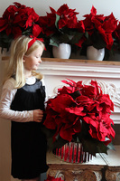 Gwiazda Betlejemska Silvereo, wysokiej jakości sztuczna roślina