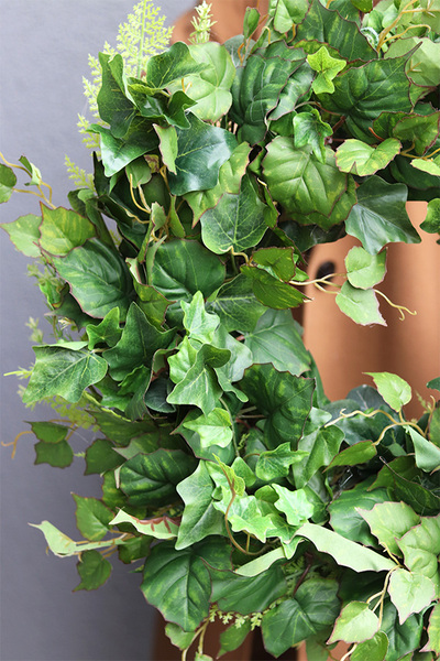 Winorośl, zielony wianek ozdobny